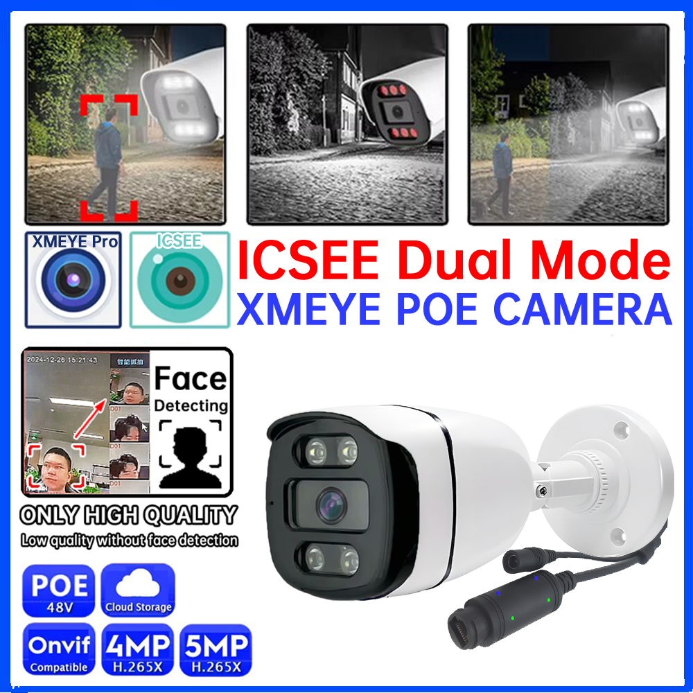 Outdoor Lighting Options - ICSEE APP Ai Audio Infrared+White LED