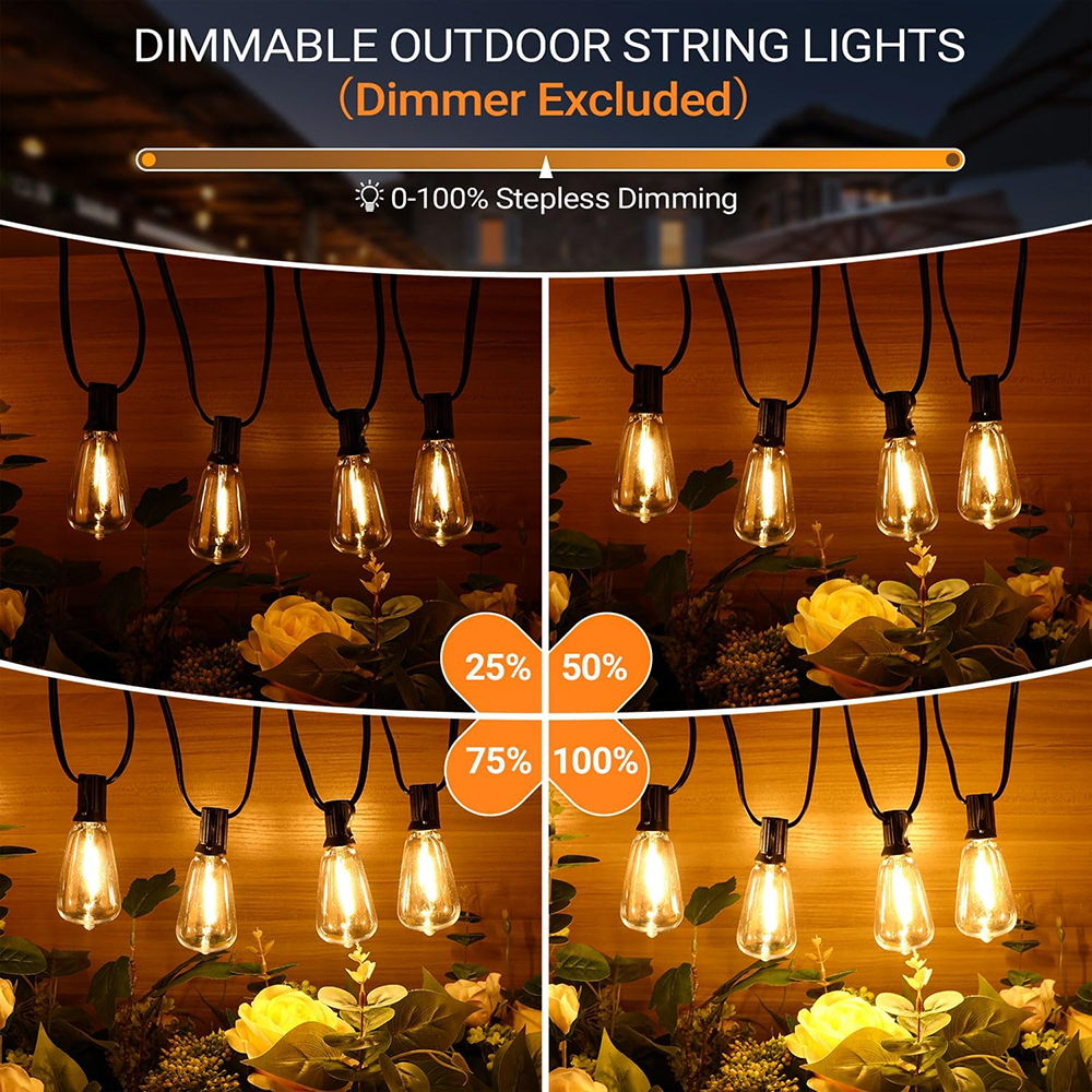 ST38 Festoon 220V LED Globe St - Outdoor Lighting Ideas For Party avis et prix
