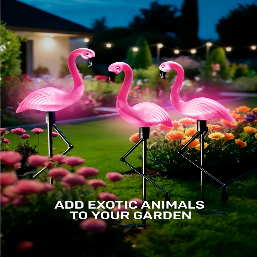 3Pcs Solar Powered Flamingo Gr - Bollard Light Garden avis et prix