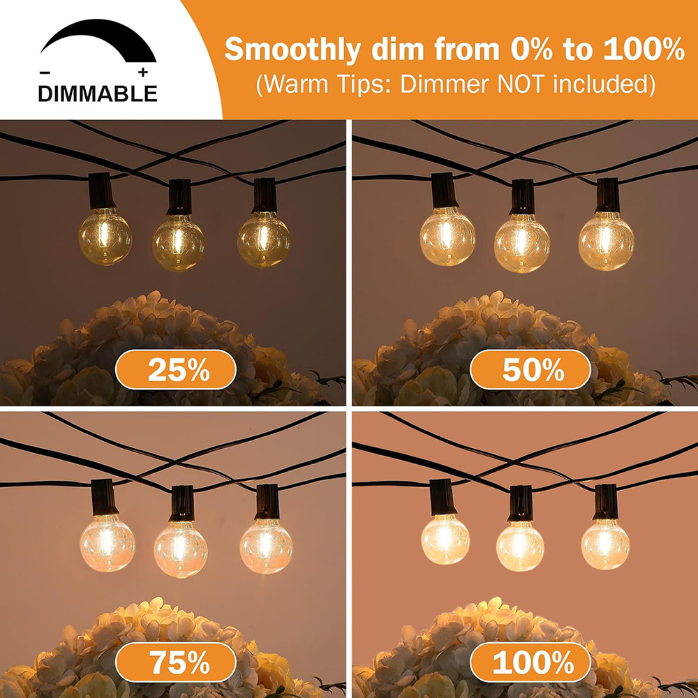 7/26M Festoon LED Globe String - Outdoor Lighting Ideas For Party avis et prix