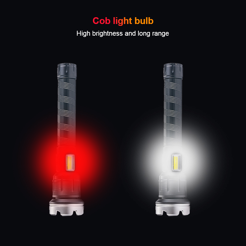 Zoomable Dual Light Hunting Fl - Outdoor Lighting Mains Powered avis et prix