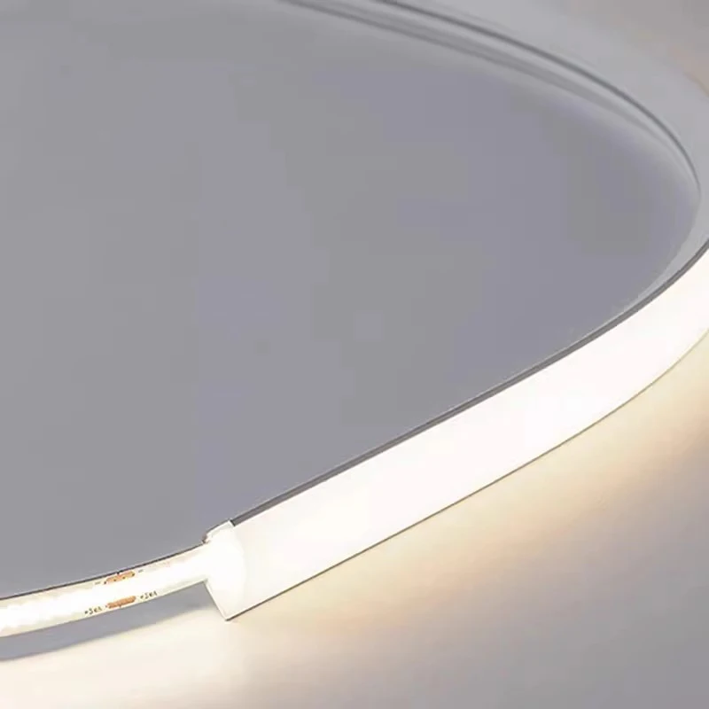 12V Led Silicone Rope Light Wa - Outdoor Lighting Lux avis et prix