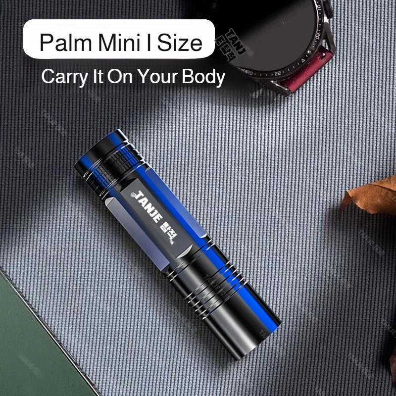 Outdoor Flashlight Small Mini  - Outdoor Lighting Ideas avis et prix