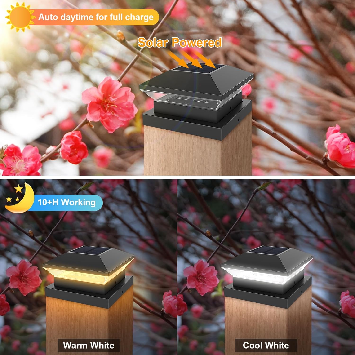 Solar Post Light Post Caps Sol - Post Cap Light avis et prix